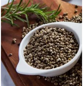 Fresh Hemp Seeds